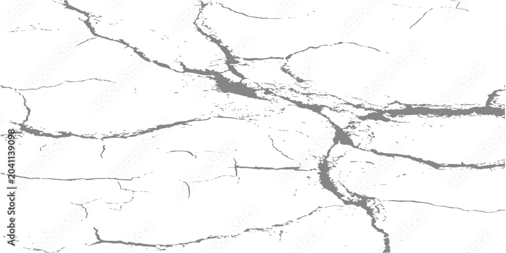 Fototapeta premium Abstract black and white cracked earth texture background, grunge distressed pattern of dry parched soil overlay