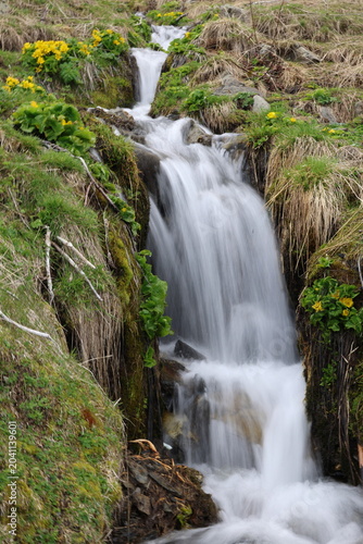 Silky Alpine Waterfall Through Mossy Banks and Wildflowers Georgia