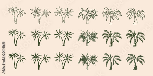 set of hand drawn palm trees in green on beige background illustration