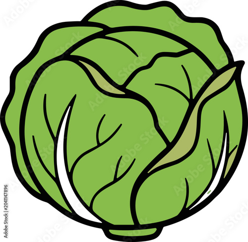 Φωτογραφία Fresh Green Cabbage Illustration - Healthy Vegetable Icon