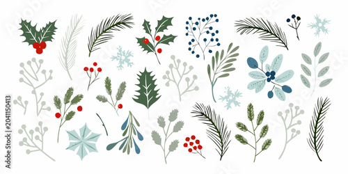 hand drawn winter flora collection on white background holly berries pine leaves