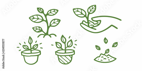 plant life stages depicted in green line art growth seedling sapling pot