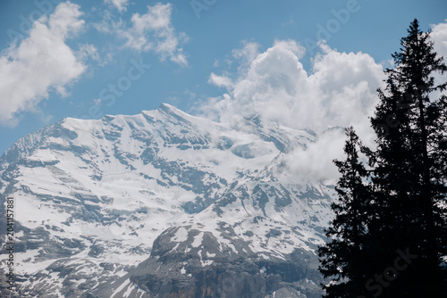 Scenic Swiss Mountain Landscape with Evergreen Trees and Rocky Peaks