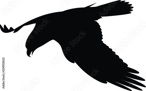 Black eagle silhouette, flying bird icon, dark avian shape, vector graphic