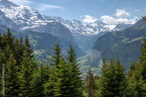Summer panorama of the Lauterbrunnen Valley with evergreen forest and snowcapped Swiss Alps under blue sky.