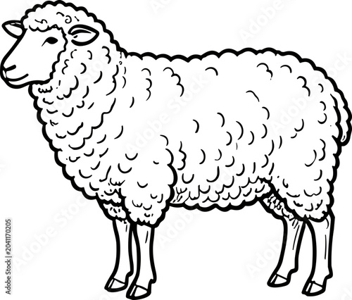 Line Art Sheep Illustration - Simple Drawing of a Fluffy White Sheep Standing
