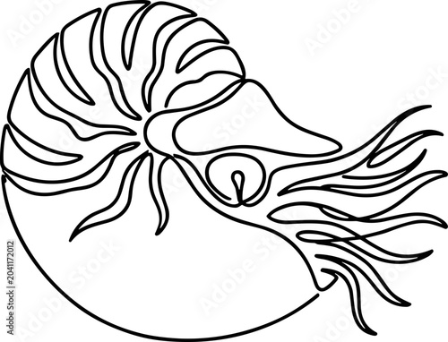 Tablou pe pânză Nautilus shell, single line art, marine mollusc, cephalopod, ocean creature, abs