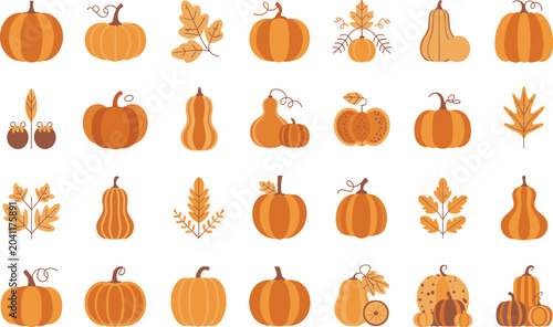 Foto Pumpkins and gourds in various shapes and sizes autumn harvest fall season symbo