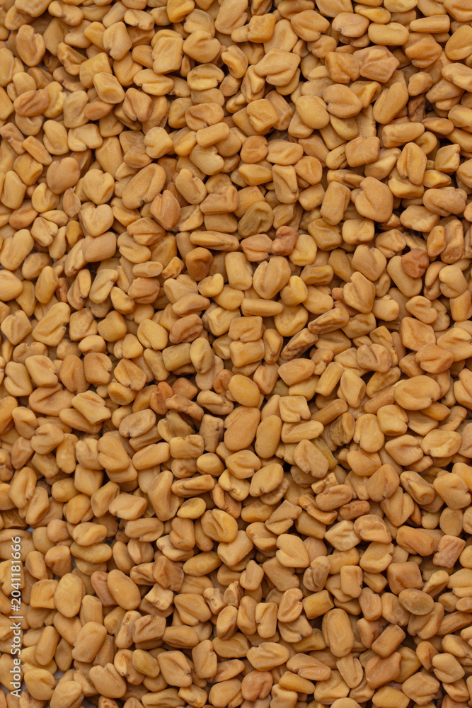 Fototapeta premium Fenugreek seeds texture background natural spice macro