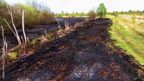 Prairie fire. Grassy-shrubby spaces devour by fire in dry season. Climate change leads to increased droughts and anthropogenic impact, mass destruction. Muddy road stopped fire, but ditches are dry.