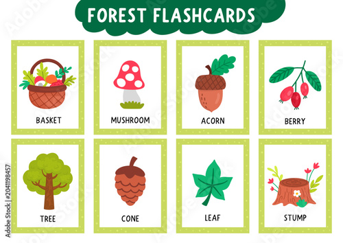 Vector forest flash cards set with basket, mushroom, tree, cone, acorn. English language game for kids. Woodland symbols flashcards. Simple nature educational printable worksheet with berry, leaf