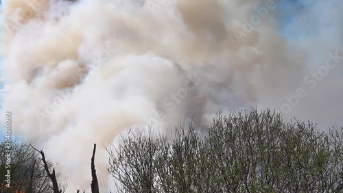 Prairie fire. Grassy-shrubby spaces are engulfed by fire during dry season. Climate change leads to increased droughts and disasters. Colored fumes and steam rises from burnt grass, plume of pollution