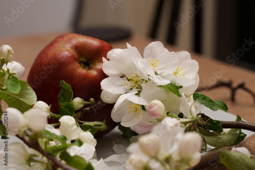 Foto White and pink apple blossoms