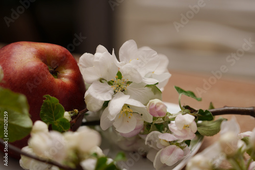 Cuadro en lienzo White and pink apple blossoms