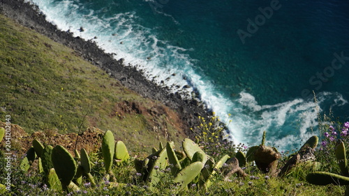 Foto Madeira, Farol da Ponta do Pargo - Ocean shore with cactuses on a steep cliff