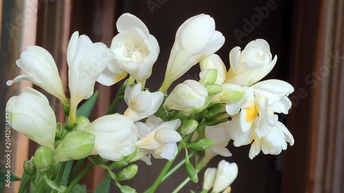 Freesia flowers are arranged in a home interior with soft natural light and an elegant botanical atmosphere.