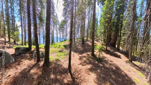 Approaching Views in Sequoia National Park