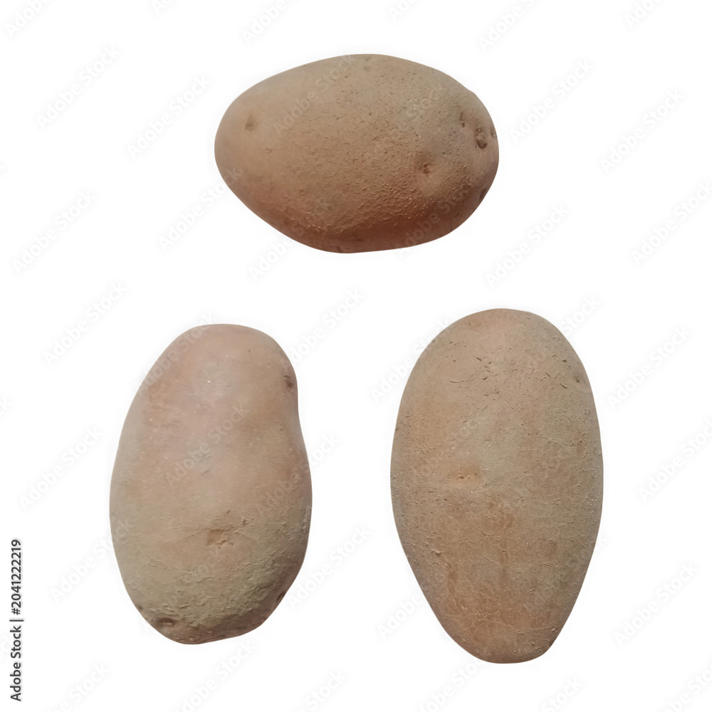 Εκτύπωση καμβά Three raw brown potatoes isolated on a simple plain surface