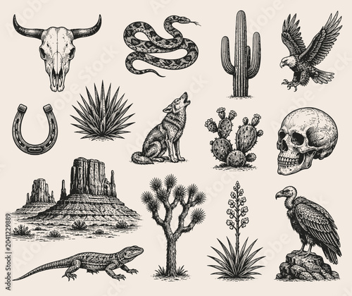 Vintage desert wildlife and landscape illustrations in a collection