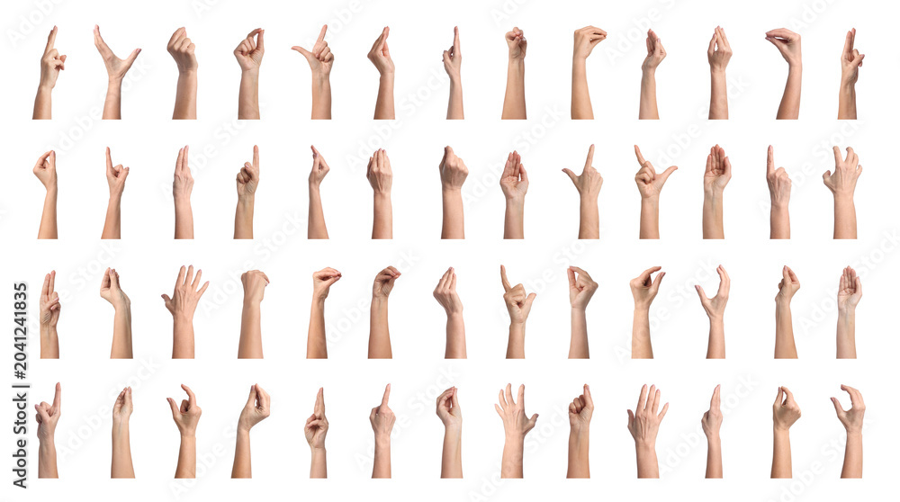 Obraz premium Collection of hand gestures isolated on white. Women showing arms, closeup