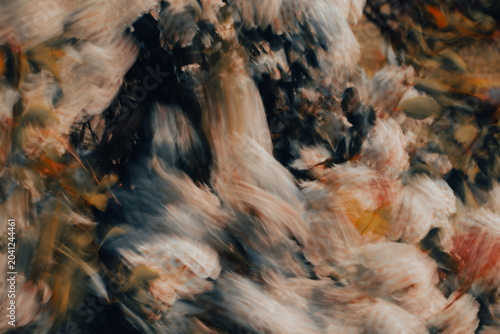 Fotografie Warm-toned foliage intentional camera movement abstract