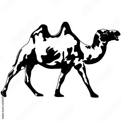 Obraz na plátne Camel animal design with bold body patterns and desert style appearance, perfect for travel themes, Arabian culture projects, safari graphics, wildlife concepts, and nature branding