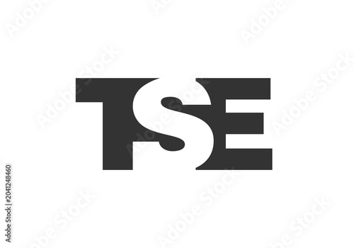 Tableau sur toile TSE logo design