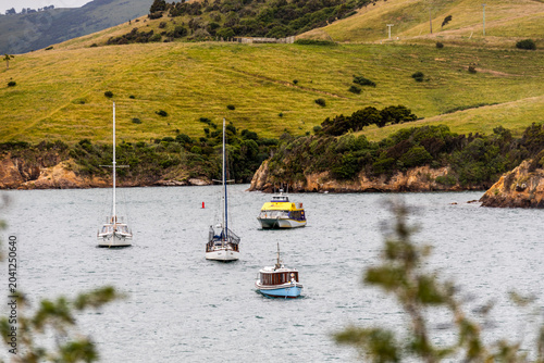Foto Sandymount Viewpoint, near Dunedin, New Zealand