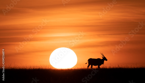 Canvastavla Antelope Sunset