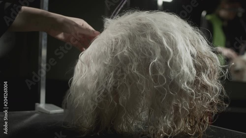 The dog's coat is dried with a hairdryer. Animal beauty salon, grooming. Shih Tzu after a bath at the vet. Pet dog grooming on the table. Haircut and combing. Slow motion