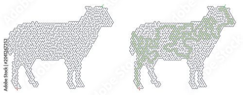 Vector illustration of a solved maze depicting a sheep shape  
