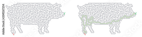 Solved maze vector in outline of a pig silhouette  