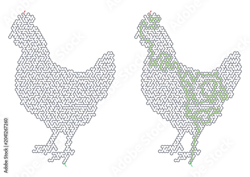 Outline of chicken drawing with solved maze vector design  