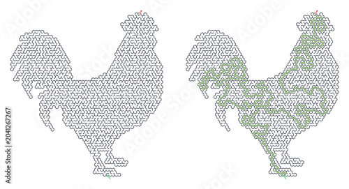Outline of rooster solved maze vector with intricate path design  