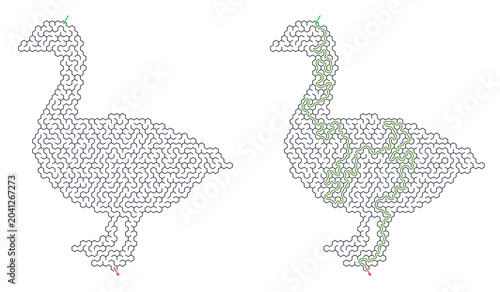 Photos Solved maze vector in the shape of a duck showing paths