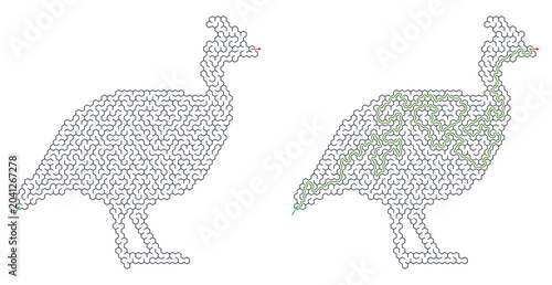 Fotografie Solved maze vector featuring unique hen silhouette design