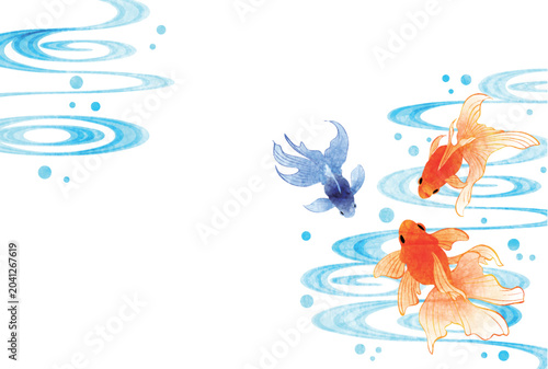 暑中見舞いはがき、金魚、流水、横、和風