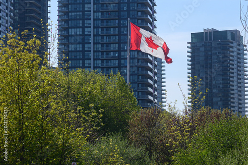 Photography Toronto skyline with Canadian flag on a bright day.