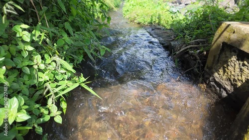 Trickling water flowing through a narrow stream surrounded by lush green foliage and stones