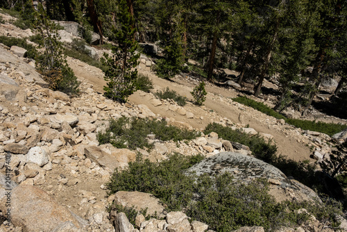 Schilderij op canvas Dense Switchbacks Through Rock Hill Side In Kings Canyon