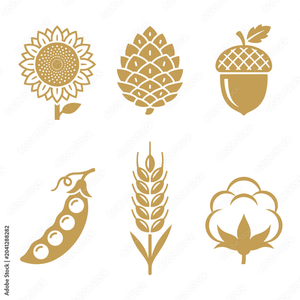Obraz premium Golden Harvest Icons Set Sunflower Pinecone Acorn Pea Wheat Cotton Vector Illustration