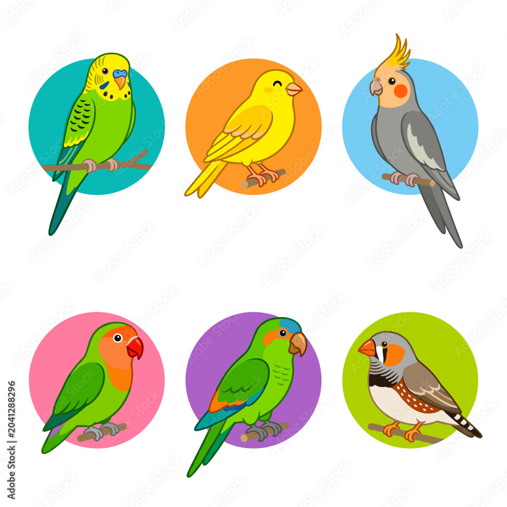 Obraz premium Collection of six colorful pet birds in circles vector illustration