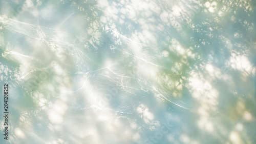 Dappled sunlight filters through leafy branches