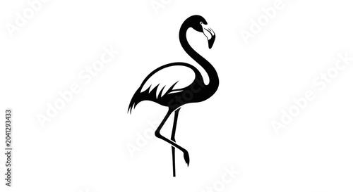 Foto Black Flamingo Bird Standing Alone.