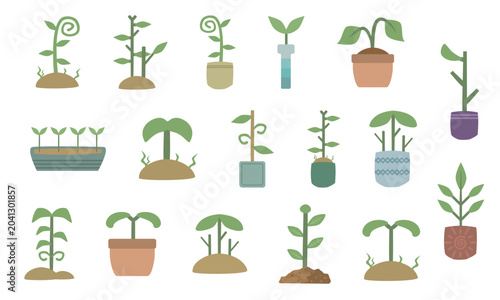 sprout plant bundle collection
