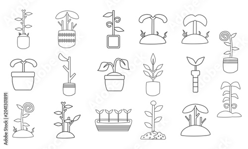 sprout plant bundle collection