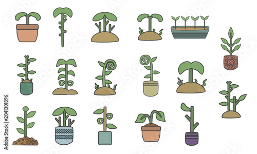 sprout plant bundle collection