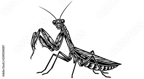 Foto Detailed black and white illustration of a praying mantis showcasing its intricate features