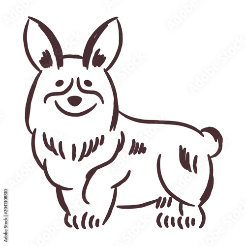 Foto Cute hand drawn corgi dog vector illustration