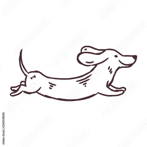 Cute dachshund dog running hand drawn sketch
